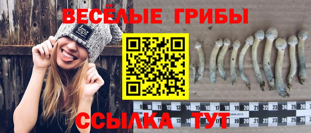 Галлюциногенные грибы ЛСД  где можно купить наркотик  Псилоцибиновые грибы Psilocybine cubensis  Добрянка  Вход с VPN 