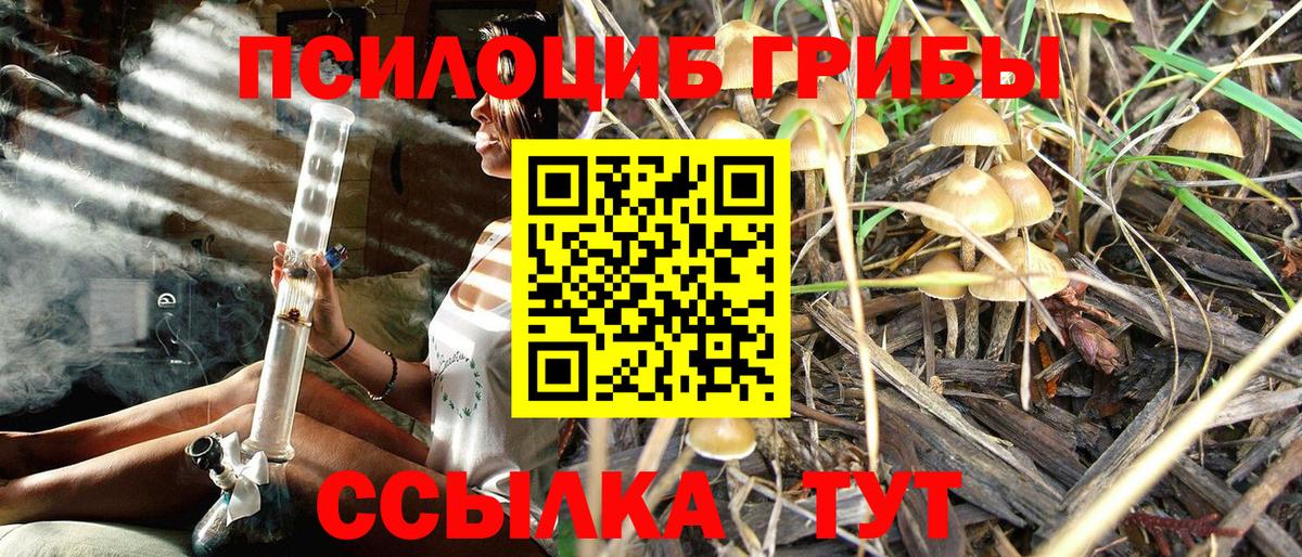 Галлюциногенные грибы MAGIC MUSHROOMS Добрянка